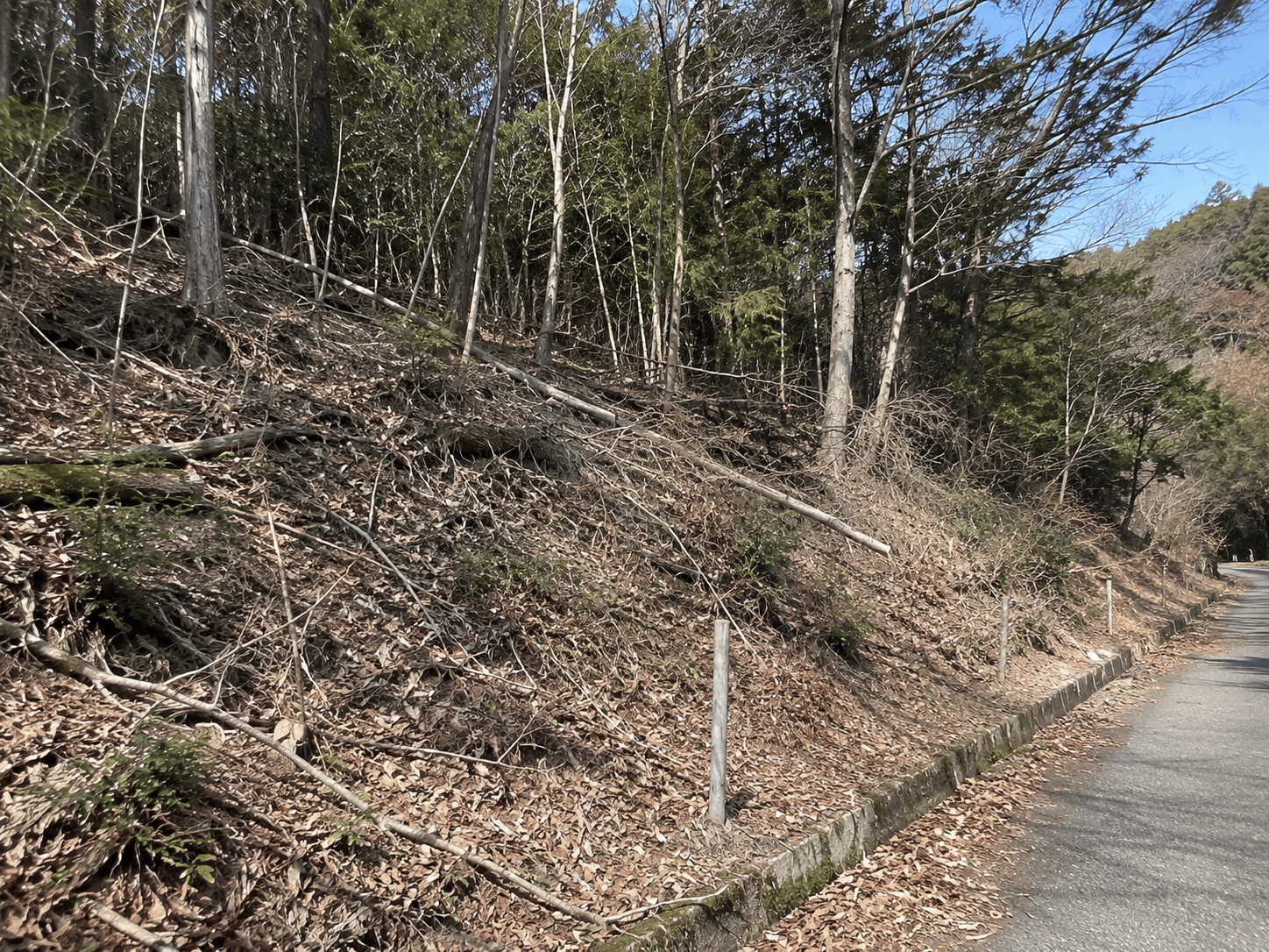 《姫路の山林買取》相続前に親名義の山を手放せた事例