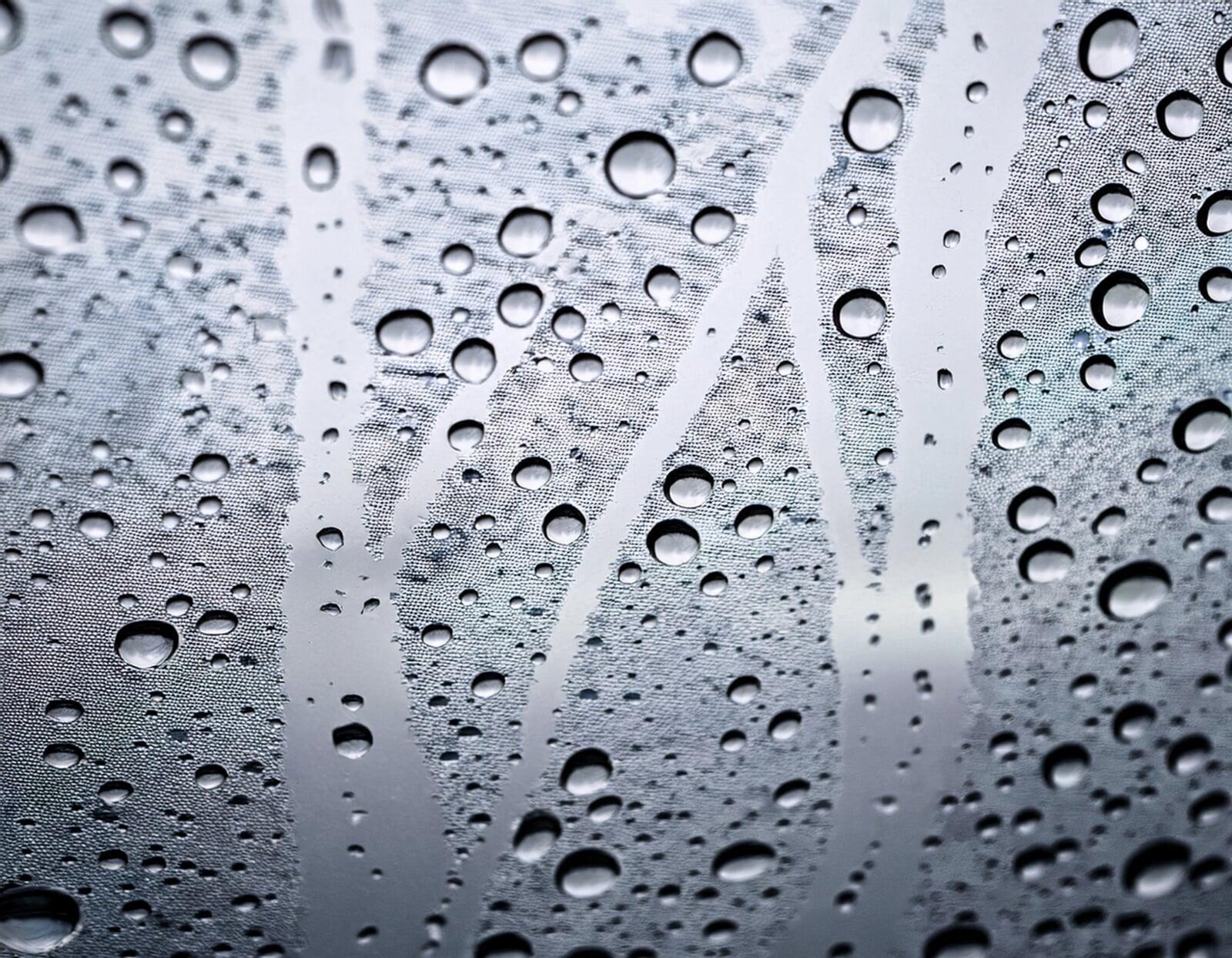 《家の湿気サイン》梅雨前に見ておきたい場所｜カビ・におい・壁紙の浮きに注意  