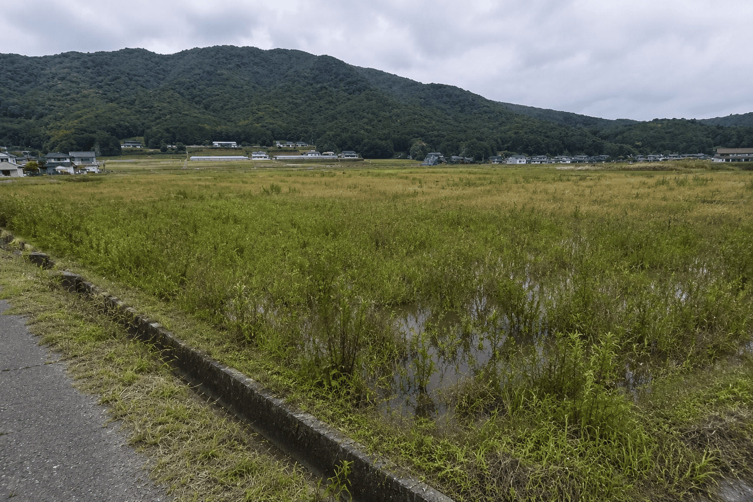 〈姫路市夢前町の田んぼ〉買取させていただきました！