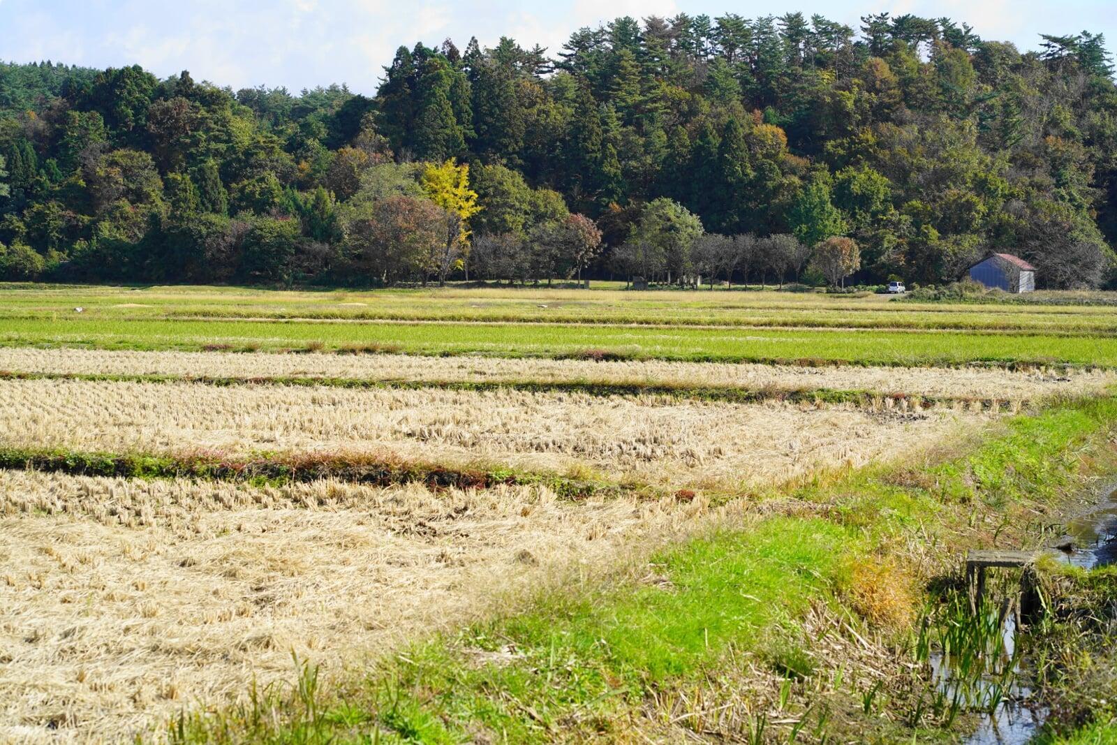 〈姫路市御立の田んぼ〉買取させていただきました！