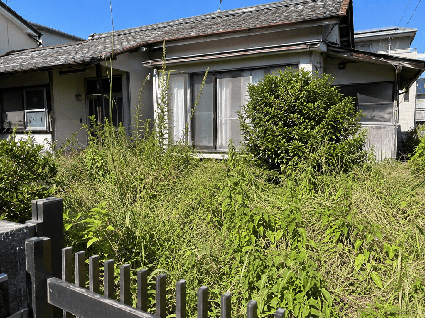 《空き家の雑草、放置は危険？》梅雨に起こるリスクと草刈り対策｜姫路市の費用相場や悩みも